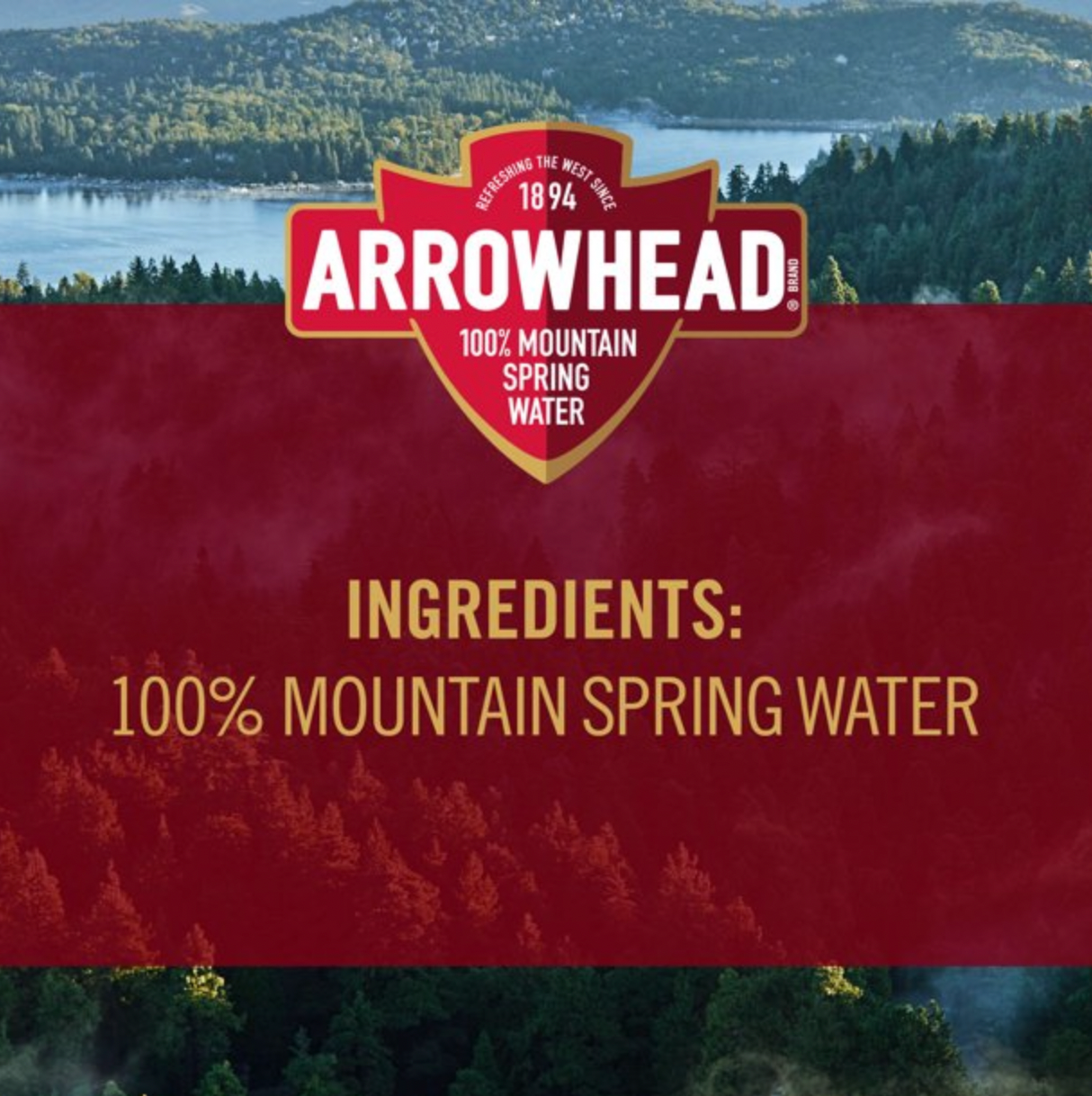 Arrowhead 100% Mountain Spring Water 12 Count Pack / 12 FL. OZ.